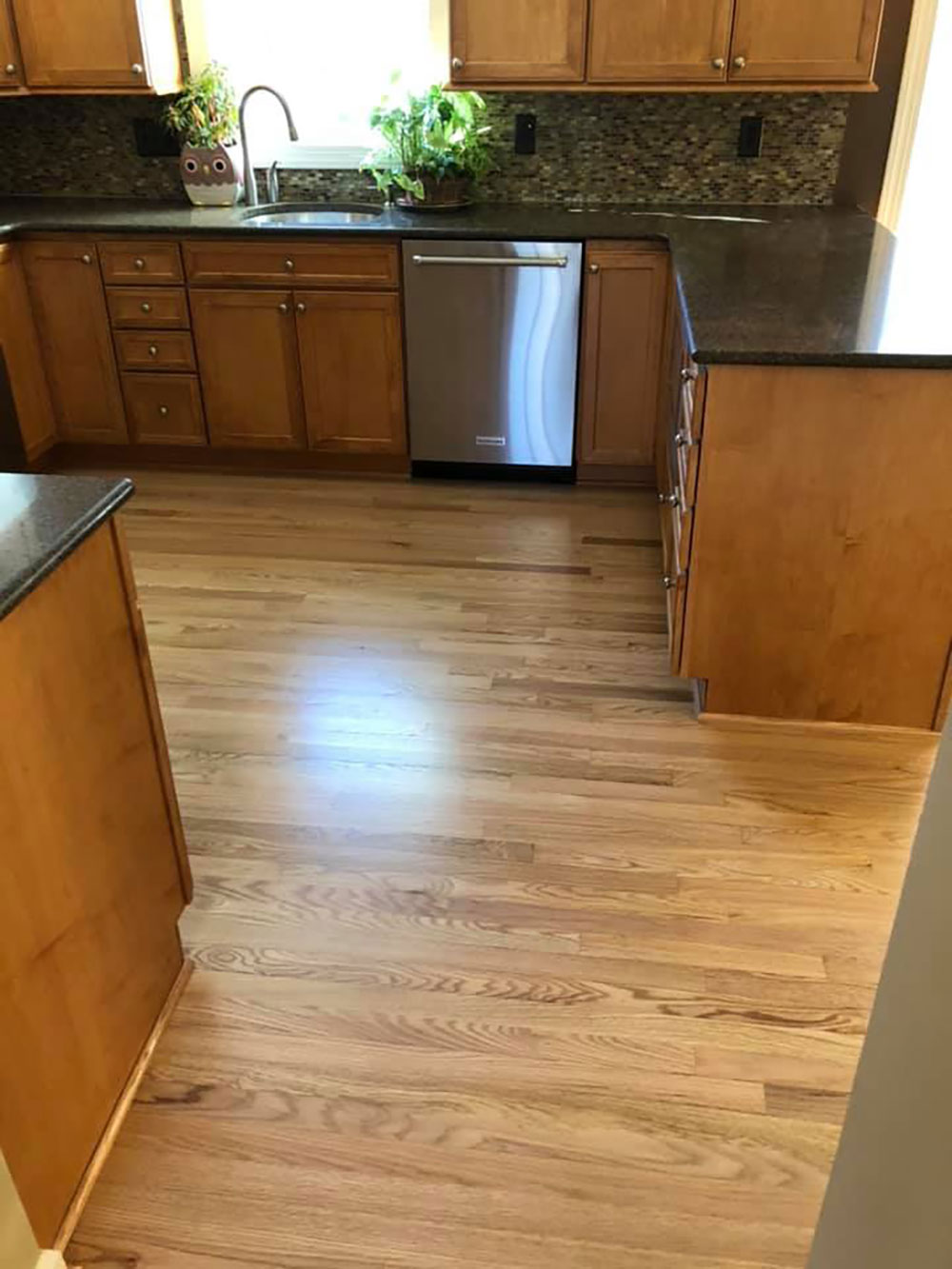 Red Oak Hardwood Floor Reciting Satin Finish